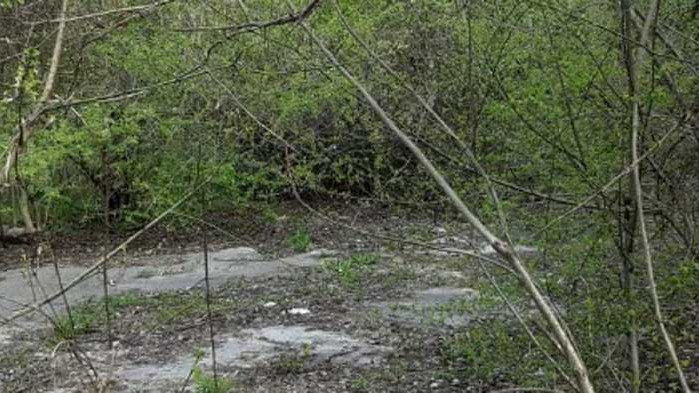 Позиция на Сдружение в обществена полза „Еко парк Галата“